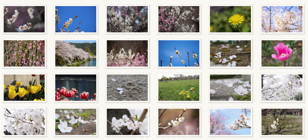 写真素材配布サイトPhotolatte